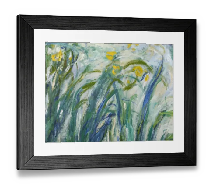 Framed Print : Yellow and Purple Irises, 1924-25 (oil on canvas) Framed Print : Yellow and Purple Irises, 1924-25 (oil on canvas)