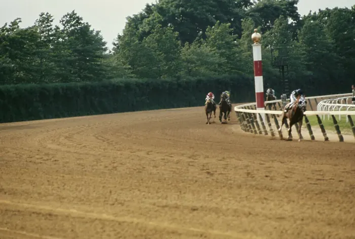 Framed Print : 105th Belmont Stakes, Belmont Park Framed Print : 105th Belmont Stakes, Belmont Park