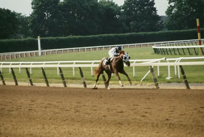Framed Print : 105th Belmont Stakes, Belmont Park Framed Print : 105th Belmont Stakes, Belmont Park