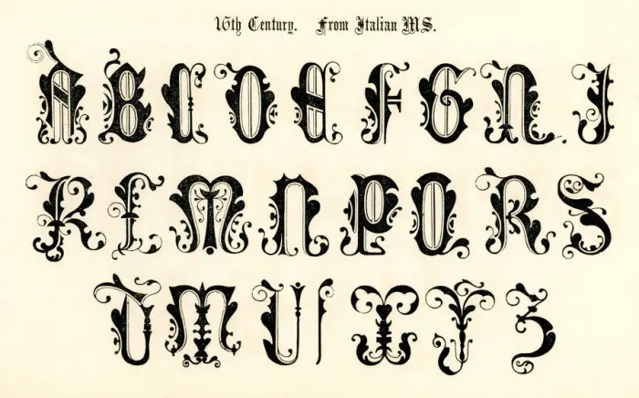 Framed Print : 16th Century Style Alphabet Framed Print : 16th Century Style Alphabet