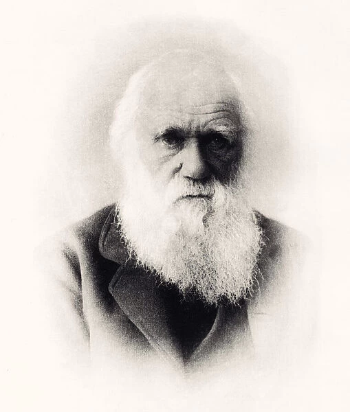 1871 : CHARLES DARWIN -XXXL with lots of details