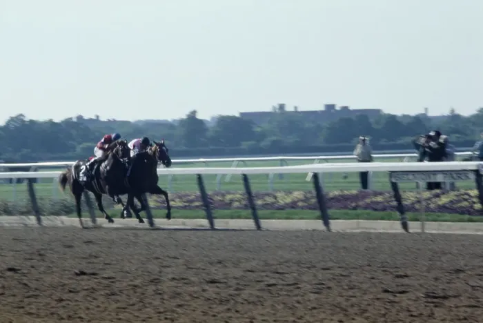 Framed Print : 1978 Belmont Stakes