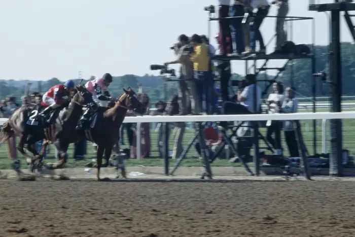 Framed Print : 1978 Belmont Stakes
