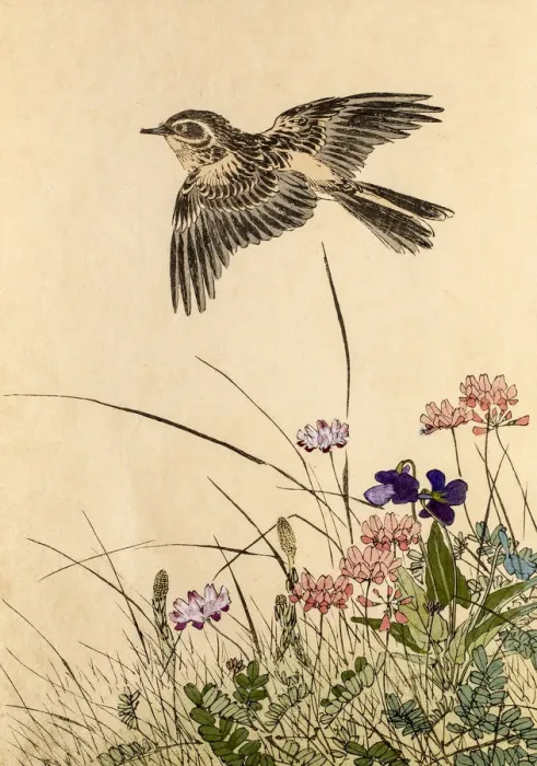 Framed Print : 19th century Japanese woodblock print
