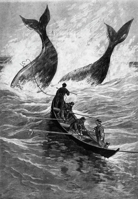 Framed Print : 19th-Century Woodcut of Whaling Framed Print : 19th-Century Woodcut of Whaling