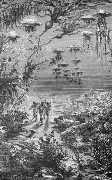Framed Print : 20, 000 Leagues Under Sea Illustration Framed Print : 20, 000 Leagues Under Sea Illustration