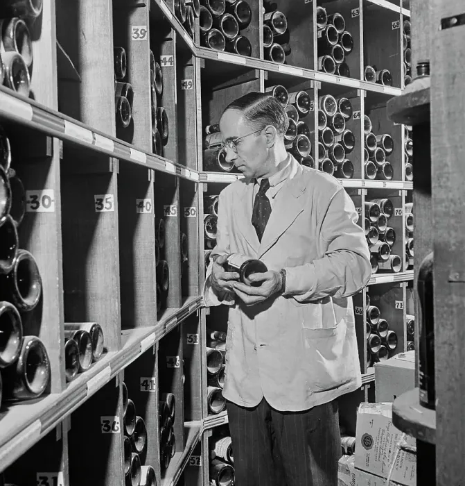 Framed Print : 21 Club. A waiter browsing bottles in the cellar of the 21 Club, restaurant Framed Print : 21 Club. A waiter browsing bottles in the cellar of the 21 Club, restaurant