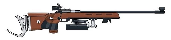 22 calibre rifle