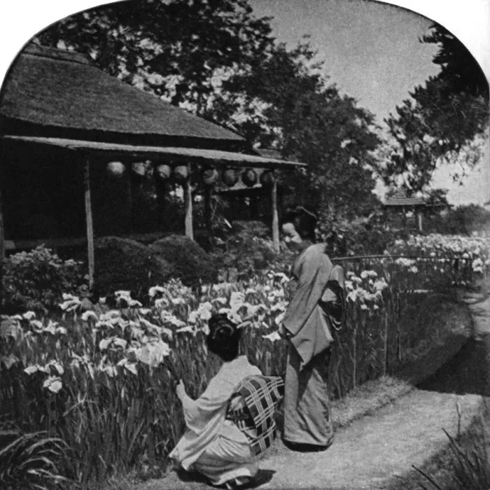 Framed Print : 30-35 years, 35-40 years, adults, archival, asian, black & white, c, females, flowers Framed Print : 30-35 years, 35-40 years, adults, archival, asian, black & white, c, females, flowers