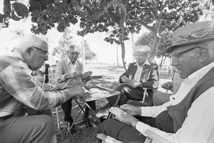 Framed Print : 4 Elderly Men Play Cards Under A Tree Framed Print : 4 Elderly Men Play Cards Under A Tree