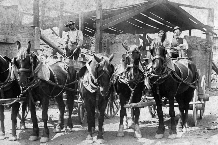 Framed Print : 521, adults, antique, black & white, carriages, caucasian, equines, group portrait Framed Print : 521, adults, antique, black & white, carriages, caucasian, equines, group portrait