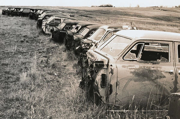 Abandoned Cars in a Row in a Field