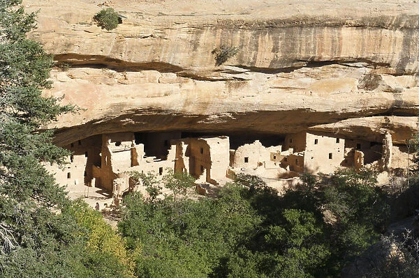 Abandoned settlement of the Anasazi Indians under rocks, with walls and ruins, Spruce Tree House, Mesa Verde National Park, Colorado, Western United States, United States of America, North America