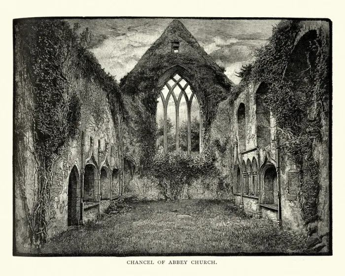 Framed Print : Abbey Church, Adare, County Limerick, Ireland, 19th Century Framed Print : Abbey Church, Adare, County Limerick, Ireland, 19th Century