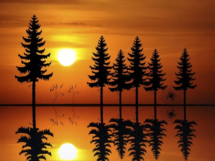 Framed Print : abies, afterglow, atmospheric, backlit, cobweb, evening light, evenings, graphic
