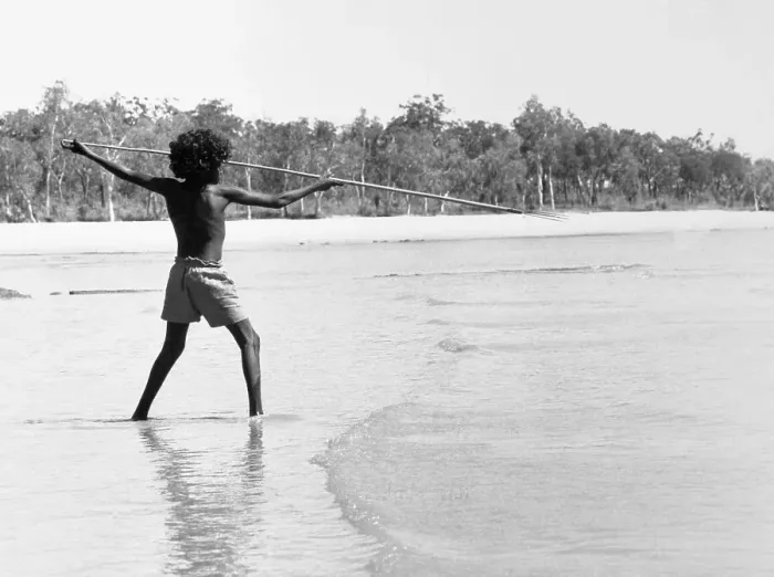 Framed Print : Aboriginal Fishing with Spear Framed Print : Aboriginal Fishing with Spear