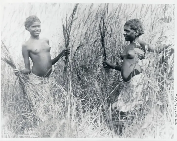 Framed Print : Aborigine Girls Playing in the Bush Framed Print : Aborigine Girls Playing in the Bush