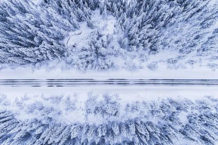 Framed Print : above, aerial view, calmness, color image, country road, day, forest, Hedmark fylke Framed Print : above, aerial view, calmness, color image, country road, day, forest, Hedmark fylke