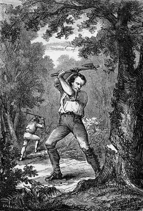 Framed Print : Abraham Lincoln Chopping Down Tree Framed Print : Abraham Lincoln Chopping Down Tree