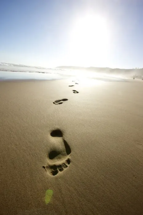 Framed Print : absence, beach, beauty in nature, bright, day, eastern cape province, footprint, horizon Framed Print : absence, beach, beauty in nature, bright, day, eastern cape province, footprint, horizon