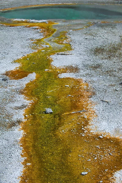 Abstract designs formed from thermophile runoff and mineral deposits, Upper Geyser Basin, Yellowstone National Park, Wyoming, USA