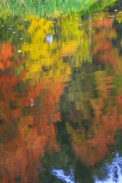 Abstract fall colors reflecting in water surface rippled by blowing wind