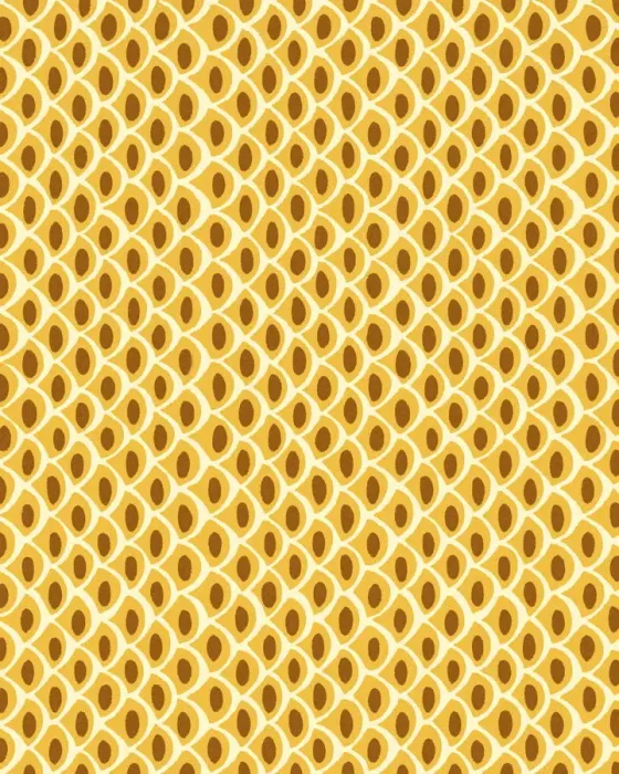 Framed Print : Abstract Pattern Framed Print : Abstract Pattern
