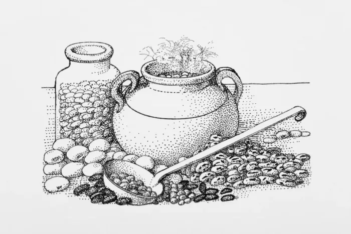 Framed Print : Abundance, Black and White Illustration, Black Eyed Pea, Broad Bean, Chickpea, Choice Framed Print : Abundance, Black and White Illustration, Black Eyed Pea, Broad Bean, Chickpea, Choice