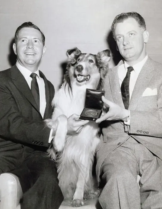 Framed Print : Acting Dog Lassie with Actors Douglas Edwards and Art Carney