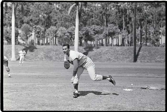 Framed Print : Action Shot Of Sandy Koufax Pitching Framed Print : Action Shot Of Sandy Koufax Pitching
