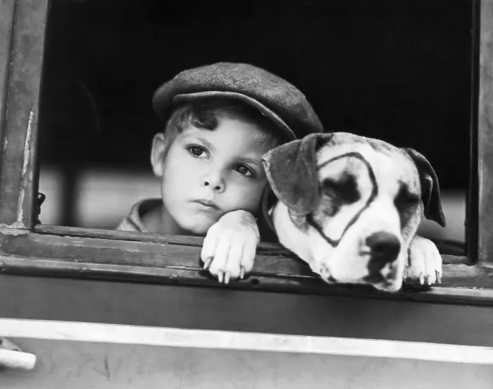 Framed Print : Actor Dickie Moore and Pete The Pup Framed Print : Actor Dickie Moore and Pete The Pup