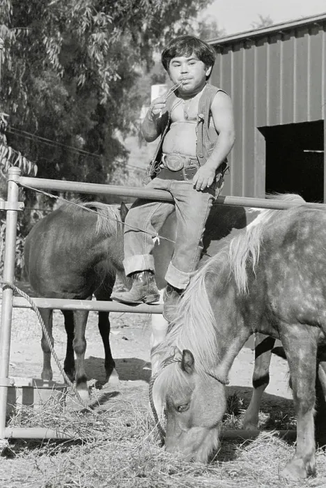 Framed Print : Actor Herve Villechaize Straddling Fence with Horses Nearby Framed Print : Actor Herve Villechaize Straddling Fence with Horses Nearby