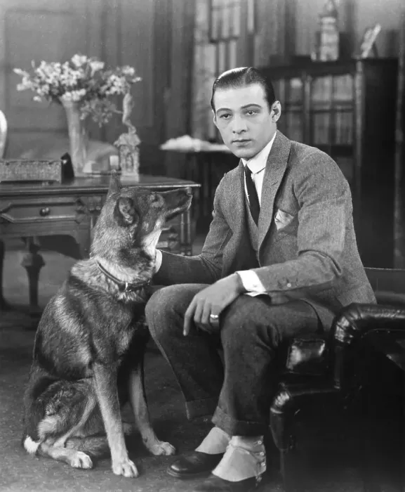 Framed Print : Actor Rudolph Valentino Posing with His German Dog Framed Print : Actor Rudolph Valentino Posing with His German Dog