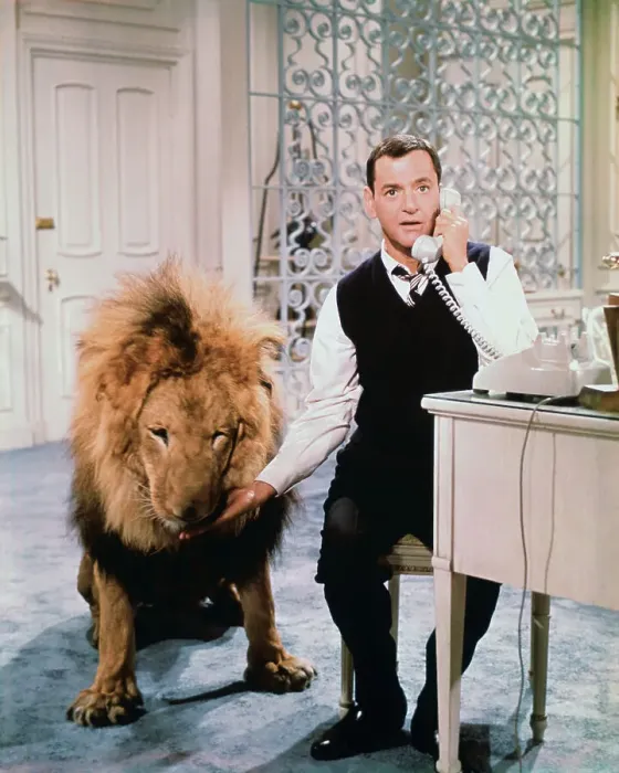 Framed Print : Actor Tony Randall and Lion Framed Print : Actor Tony Randall and Lion