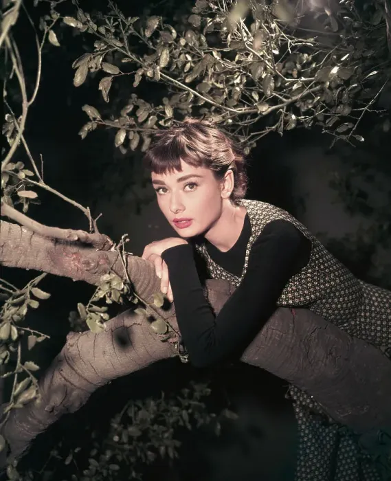 Framed Print : Actress Audrey Hepburn Leaning on Tree Framed Print : Actress Audrey Hepburn Leaning on Tree