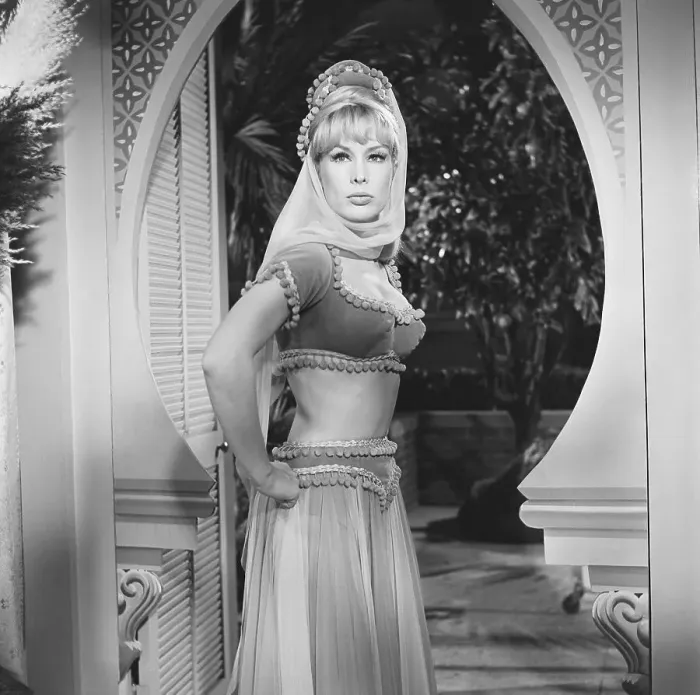 Framed Print : Actress Barbara Eden Dressed for Her Part in I Dream of Jeannie Framed Print : Actress Barbara Eden Dressed for Her Part in I Dream of Jeannie