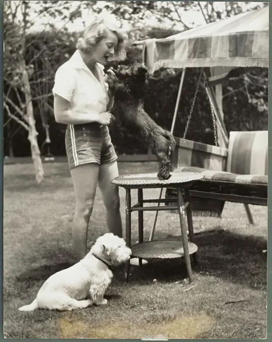 Framed Print : Actress Bette Davis in Shorts and Playing With Dog Outside Her Home Framed Print : Actress Bette Davis in Shorts and Playing With Dog Outside Her Home