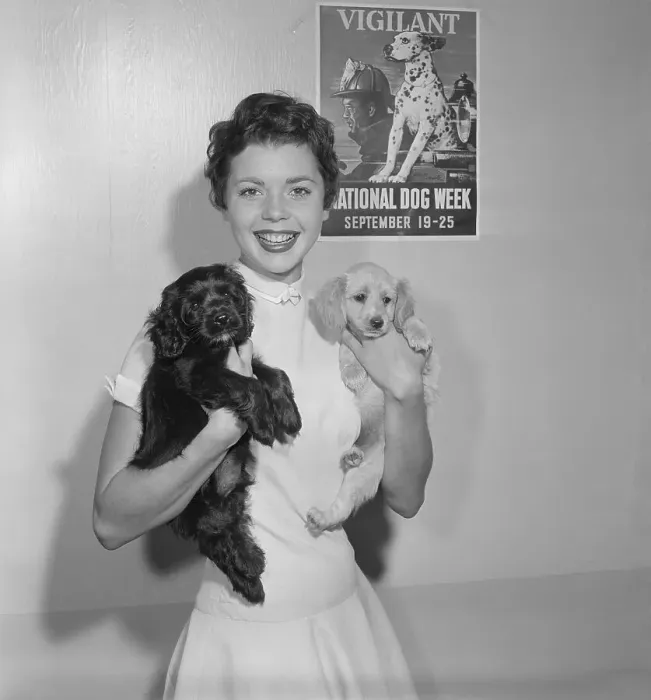 Framed Print : Actress Colleen Miller Holding Two Dogs Framed Print : Actress Colleen Miller Holding Two Dogs