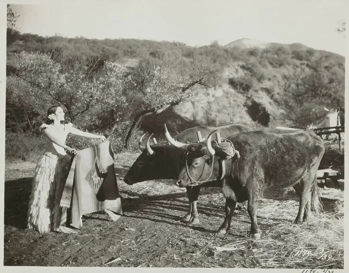 Framed Print : Actress Dolores Del Rio Tempting Two Farm Oxen