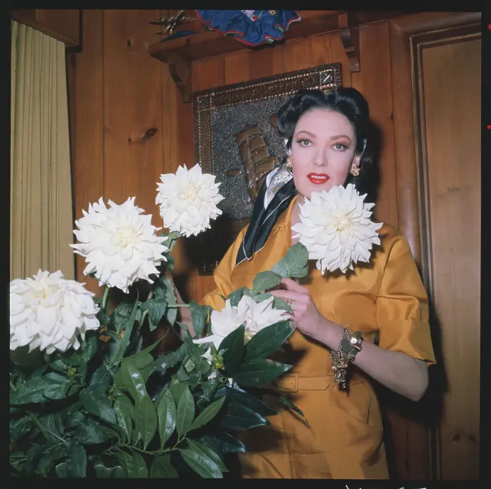 Framed Print : Actress Linda Darnell with Large White Flowers