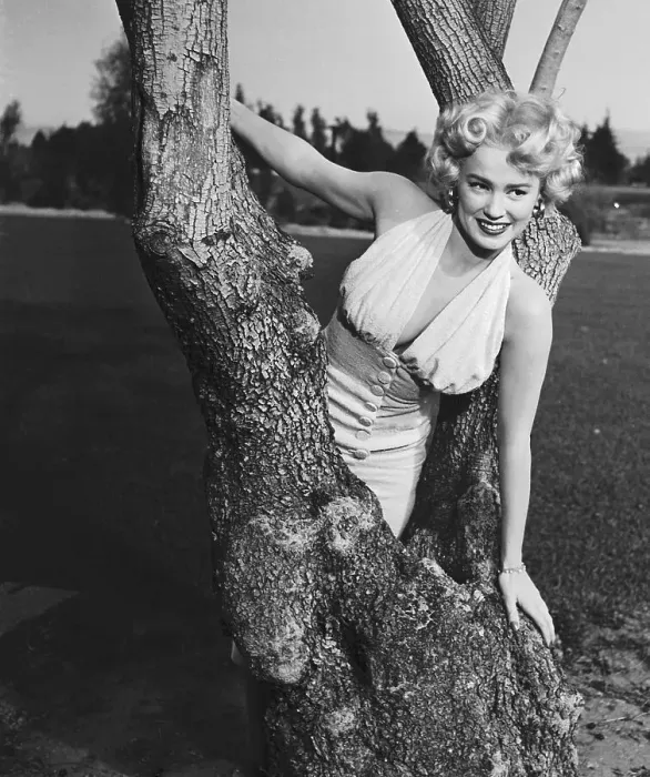 Framed Print : Actress Mamie Van Doren Posing Inside Tree Limbs Framed Print : Actress Mamie Van Doren Posing Inside Tree Limbs