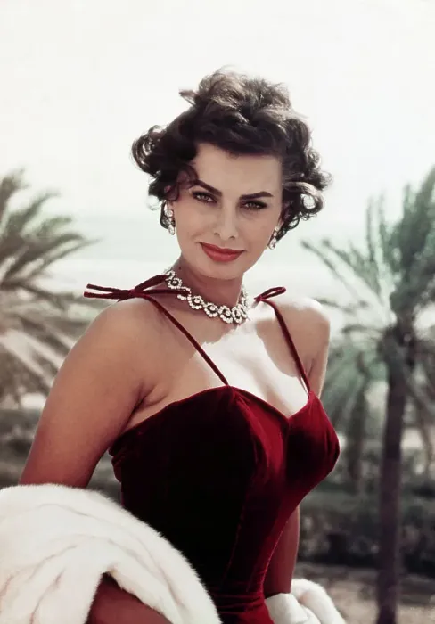 Framed Print : Actress Sophia Loren Framed Print : Actress Sophia Loren