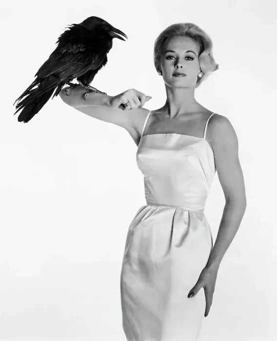 Framed Print : Actress Tippi Hedren Posing with a Raven Framed Print : Actress Tippi Hedren Posing with a Raven