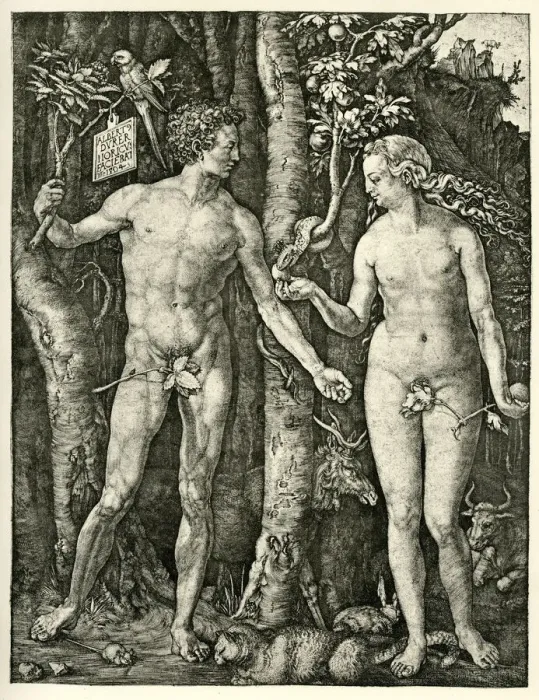 Framed Print : Adam and Eve Framed Print : Adam and Eve