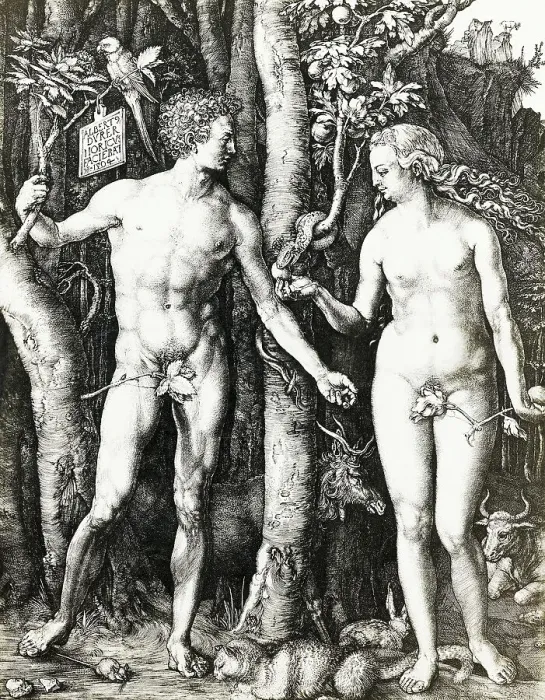 Framed Print : Adam and Eve by Albrecht Durer Framed Print : Adam and Eve by Albrecht Durer