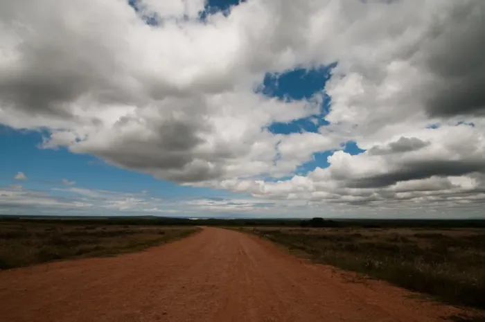 Framed Print : addo national park, color image, day, desert road, dirt road, eastern cape, horizon over land Framed Print : addo national park, color image, day, desert road, dirt road, eastern cape, horizon over land