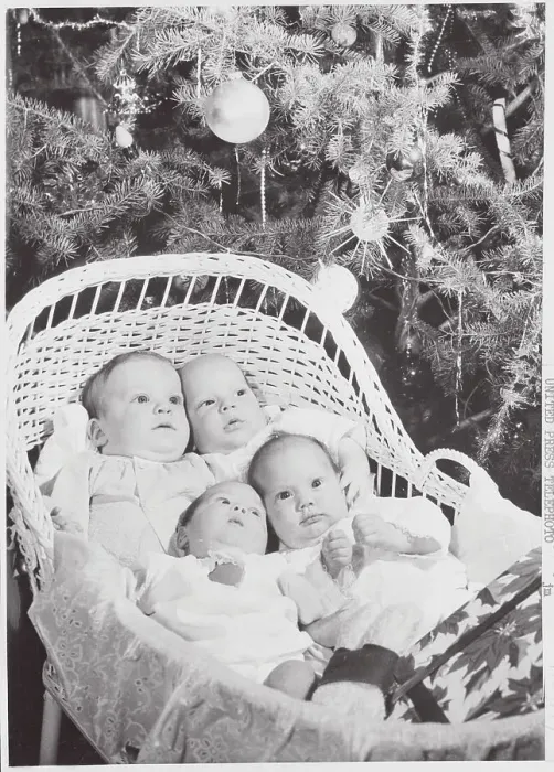 Framed Print : Adoptive Babies Poised in Basket Underneath Christmas Tree Framed Print : Adoptive Babies Poised in Basket Underneath Christmas Tree
