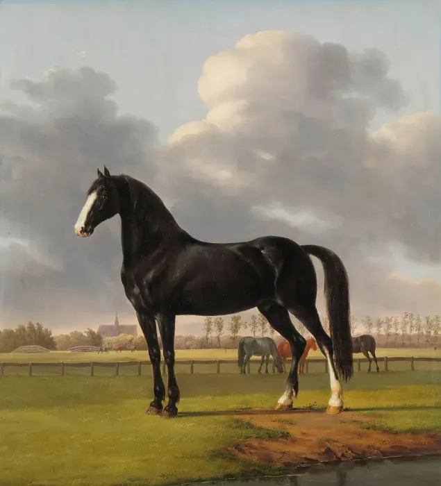 Framed Print : Adriaan Van Der Hoop'S Trotter De Vlugge (The Fast One) In A Meadow