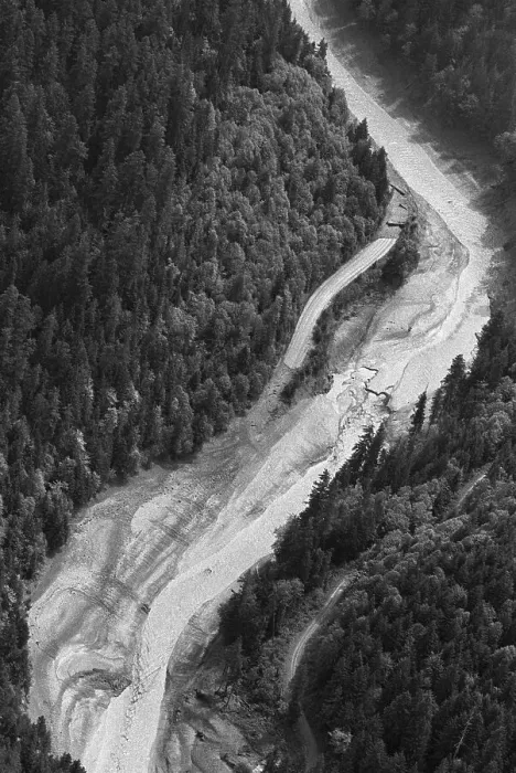 Framed Print : Aerial Flood Of Road Surrounded By Trees