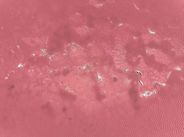 Aerial shot looking down on salt textures, Laguna Colorada, Bolivia